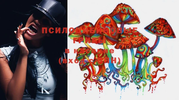 винт Вязьма