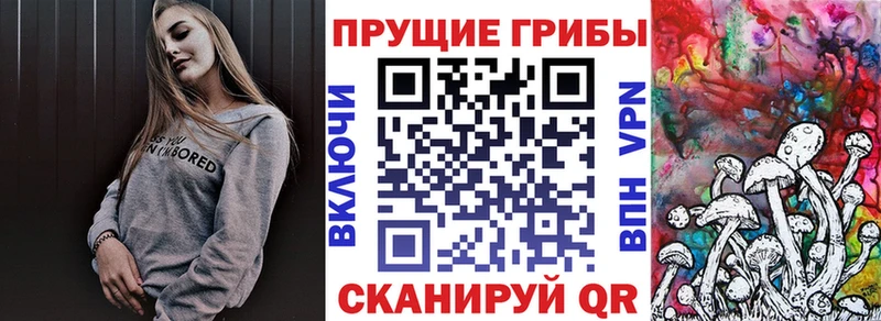 закладка  Мценск  Псилоцибиновые грибы прущие грибы 